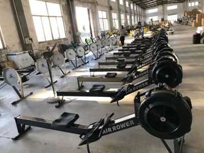 High Quality Premium Design Indoor Rowing Machine Magnetic+Wind Resistance for Home and Light Commercial Setup