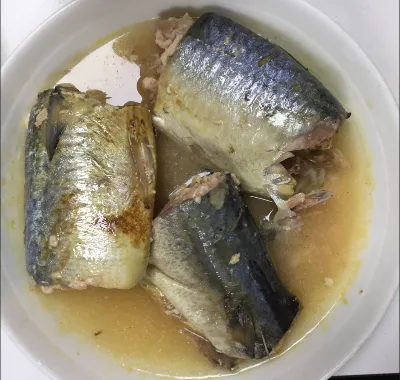 Canned Mackerel in Natural Oil to Auckland,Samoa