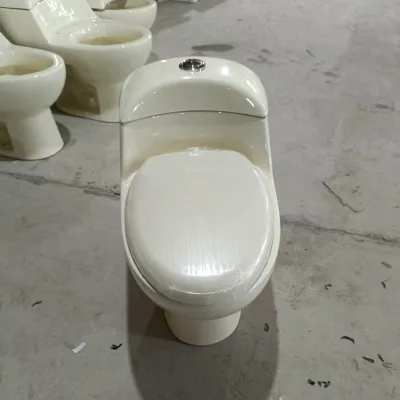 Modern Dual-Flush One-Piece Ivory Color Ceramic Toilet Exported to South America