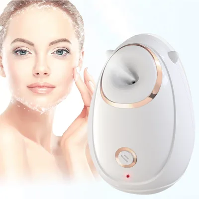 Wholesale Mist Professional Portable Electric Spa Multifunction Machine Nano Personal Face Steamer Facial