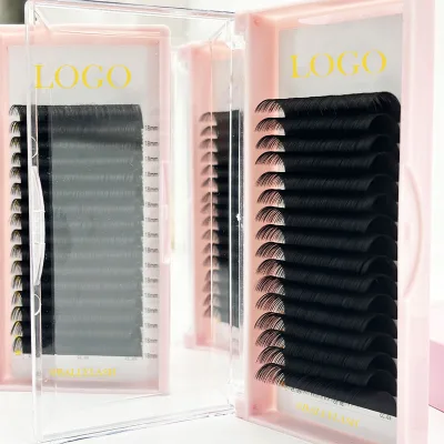 Private Label Individual Eyelash Extensions Volume Eyelash Extensions Supplies Volume Lash Extensions 0.02 -0.08 Lash Supplies