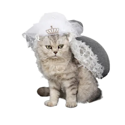 Cat Dress in Wedding Small Pets Animals Bridesmaid Lace Dress Clothes