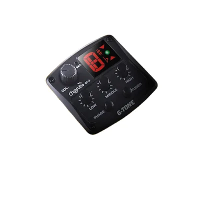 GT-2 Guitar Amps Rotate Reverb Delay Mic Resonant Effects and Chrous Effects Acoustic Guitar Preamp High Quality