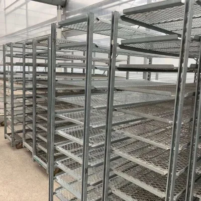 Horticultural Flower Nursing Mushroom Plant Plywood Four-Wheel Trolley with 7 Shelves OEM