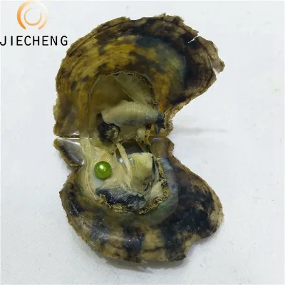 6-7mm Good Colour Wholesale Amazing Gift Pearl in oyster