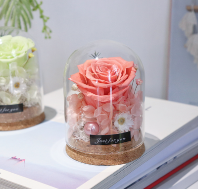 Hot Selling Luxury Preserved Red Roses Grade a Customized for Christmas Valentine's Day Mother's Day