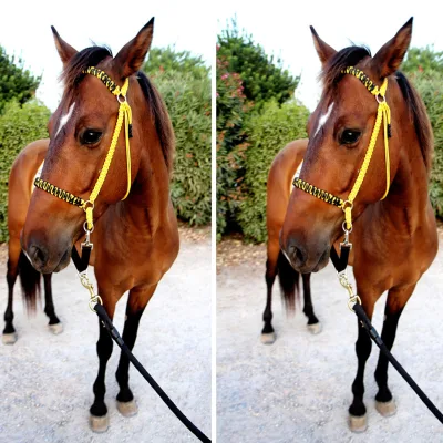 2025 2022 New Wholesale Horse Driving Equipment Horse Halter with Racing Leads and Paracord Lead Rope