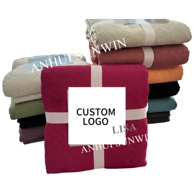 Wholesale China Factory King Size 1Piece Reversible Ultrasonic Bedspread Custom Logo Quilt Set for Spring,Summer