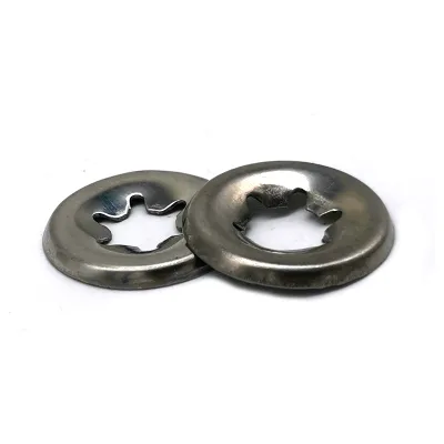 F436 Stainless Steel Star Lock Washer with Brass of Different Size