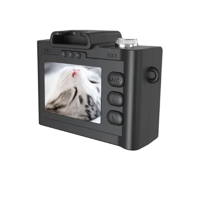 Digital Cameras Christmas Gifts Tiny Video Audio Recorder Webcam Camcorder Small DV DVR Security DV Video Vlog Cam