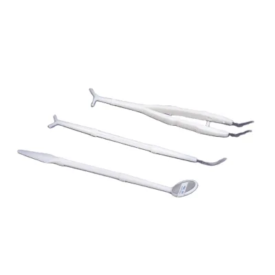 CE ISO Arrpoved Sterile Disposable Dental Examination Tools Kit 3 Pcs Oral Care Dental Hygiene Set