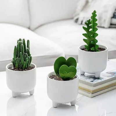 Ceramic Flower Pot Nordic Style Ins Ceramic Small Flower Pot Succulent Flower Pot Office Desktop Home Living Room Decoration
