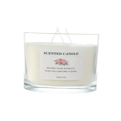 12Oz Aromatherapy Soybean Wax Scented Candle 3-Candle Wick Therapeutic and Relaxing Fragrance