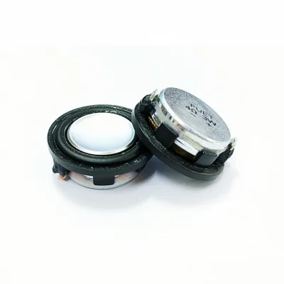Fuet 28 MM Multimedia Bass Speaker 4 Ohm 2W Neodymium Magnet Miniature Loudspeaker ISO9001 Certified Wire Leads for Alarm Device