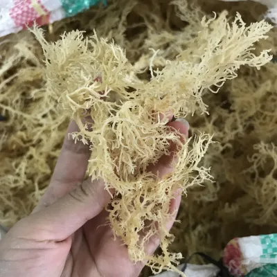 N10 Health Natural Delicious Chopped Dried Sea Moss 1kg Vacuum Pack for Food