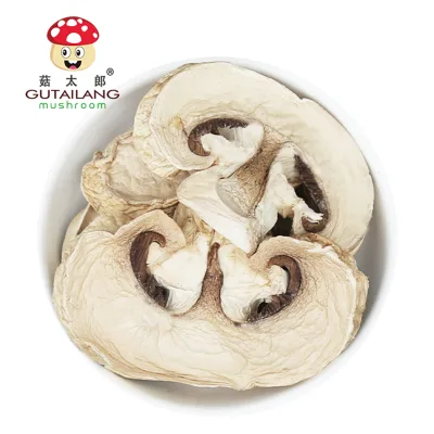 Gutailang Dried Champignons Mushroom Slices Dried Champignon Slices Factory Supply Wholesale