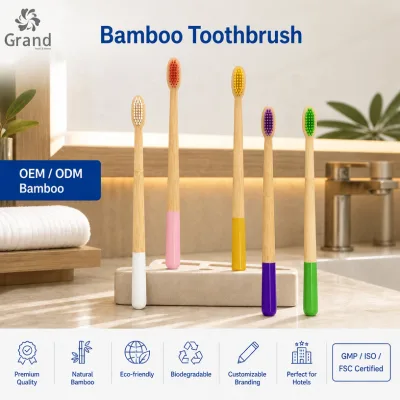 Soft OEM Customized Wood Packaging Wholesale CE ROHS Certificate Biodegradable Organic Charcoal Bamboo Toothbrush for Hotel