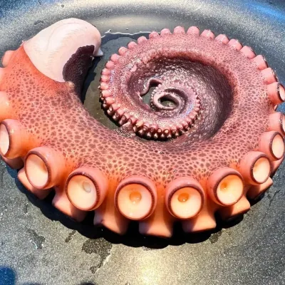 Wholesale Price Traditional Japanese Frozen Big Octopus for Making Octopus Sushi Rolls Vacuum Pack 1kg