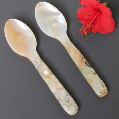 Hot Sale Wooden Handle and Shell Seashell Spoon Coffee Spoon Caviar Spoon for Home Kitchen Dessert Use
