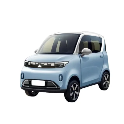JRICH Customized Mini Four-Seater Electric Tricycle for Adults for Passenger Use Closed Body Type 48V