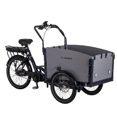 Hot Sale 36V 250W Electric Cargo Bike with Aluminum Frame and Lithium Battery for Large Dogs and Rear Carrier Pet Dog Trailer