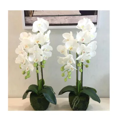3D Real Touch Latex Orchid 9 Heads Artificial White Orchid