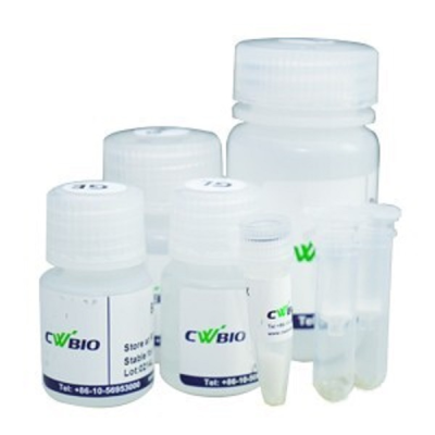 Animal Tissues RNA Extraction Kit Ultrapure RNA Kit (DNase I)