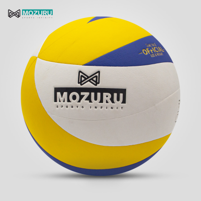 Ballon Balle De Volleyball