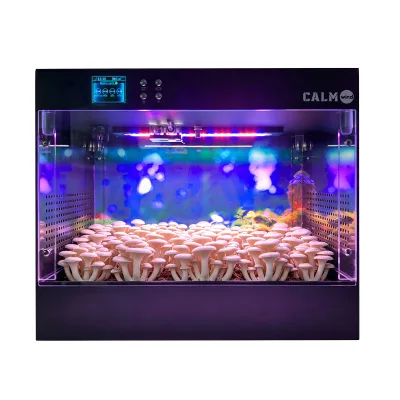 Home Mushroom Eco Box Intelligent Mushroom Cultivation Machine Automatic Environment Control Desktop Mushroom Growing System