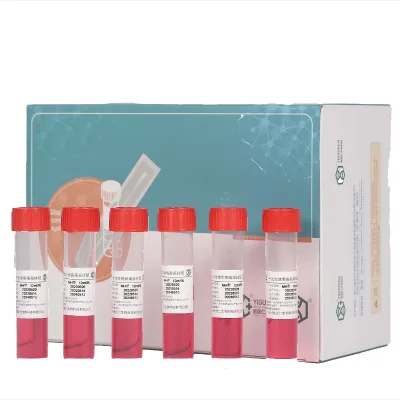 Sampling Collection Rapid Test Swabs Kit Swabs, Nylon Flocked Nasal Swabs Vtm Sampling Kit