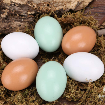 Chicken Plastic Eggs Poultry Farm Home Use Artificial Eggs Wood / Plastic / Ceramic High Quality