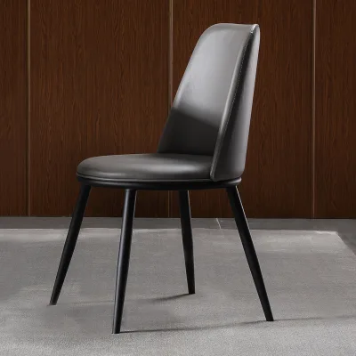 Modern Minimalist Light Dining Chair with Fabric and Metal Legs New Design for Home Office Living Rooms Apartments