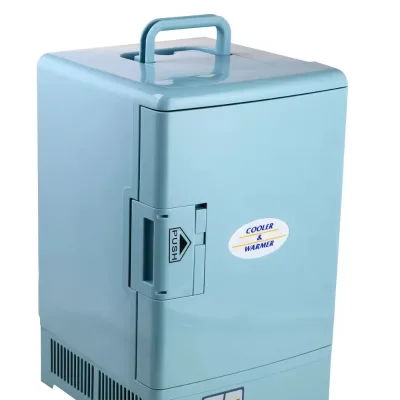 For Workshop Support Beauty Mini Fridge Beauty Refrigerator Mini Fridge Beer Fridge