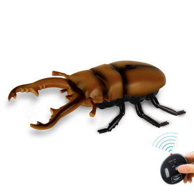 Simulation Uang Beetles Rc Infrared Remote Control Beetle Insect