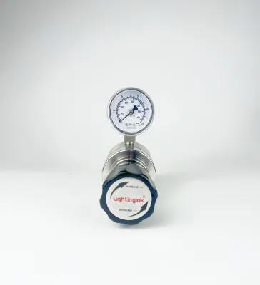Advanced Modular Gas Pressure Regulator Units for Customizable and Efficient Gas Distribution Solutions