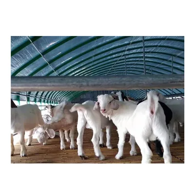 Low Cost Farm Tent Animal Shelter Tent for Livestock Chicken Horse Cattle Goat
