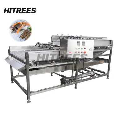 High Performance Stainless Steel Ice Glazing Machine for Long Term Use with Minimal Downtime