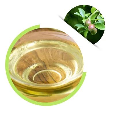 Free Sample Organic Cosmetics Grade Camellia Seed Oil Crude Processed From Chinese Factory for Cooking