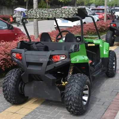 Cheap Adult Electric Utv 4x4 Street Legal Utv for Sale