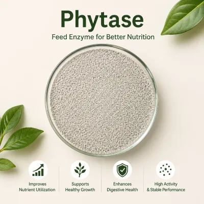 Eco-Friendly Natural Phytase Enzyme for Sustainable Livestock Farming Feed Additive Bioavailable Nutrient Uptake Bulk Phytase