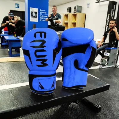 Durable and Thick Inner Liner Adjustable Velcro-style Taekwondo Martial Arts Training and Competition Boxing Gloves