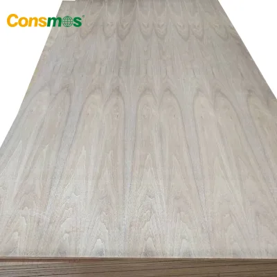 3mm 18mm 1220x2440mm Black Walnut Veneer Poplar Core Fancy Plywood for Furniture