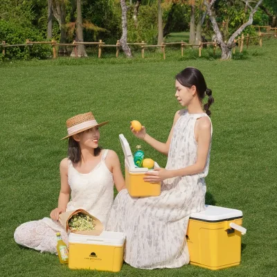 8L Custom logo Long-lasting Freshness Preservation Portability Food Grade Small Cooler Box with Handle
