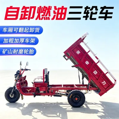 Lightweight Cargo Gasoline Tricycle Net Weight 315kg Interchangeable 500-12 Front and Rear Tires