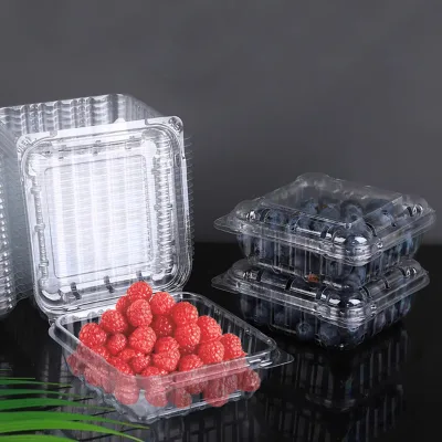 Disposable Translucent 125g PET Raspberry Container Lid Separate Compartments for Sandwich Pizza Juice Sugar-Food Packaging Box