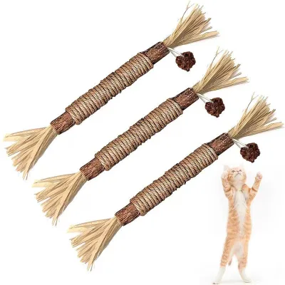 Explosive Pet Teethers Toys Silvervine Catnip Chewing Teeth Cleaning Interactive Cat Toys