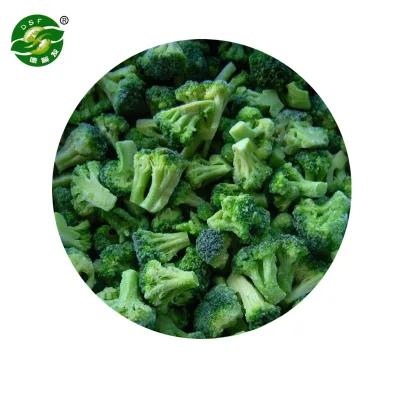 IQF Frozen Broccoli Steamed Cut for School Meals and Supermarket Supply Frozen Broccoli
