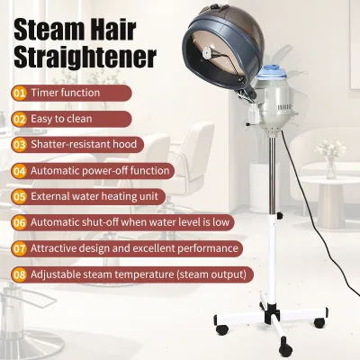 2-in-1 Professional Ozone Face & Hair Steamer, Hooded Mist Vaporizer Spray Machine for Beauty Salon & Home Spa Use