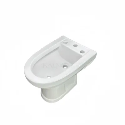 Modern One Piece Structure Easy Installation Bathroom Bidet Set Floor Mounted Ferrum System With 3 Holes Ceramic Toilet Bidet