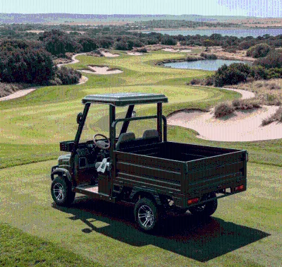 High-Efficiency Loading Trunk 3000W 4-Wheel Electric Vehicle Closed Body 2 Passengers with 1000kg Payload for Golf Court